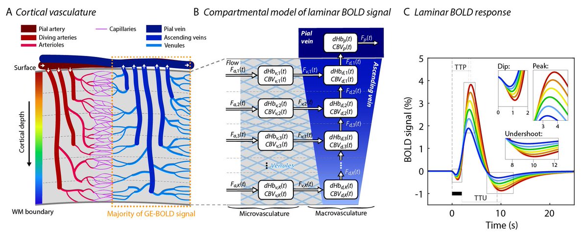 model_fMRI's tweet photo. Updated version of our preprint: 
https://t.co/2qsLgQc7VH
including MATLAB code (more examples to come):
https://t.co/yB5oldQfgS https://t.co/zgcvcEkhoK