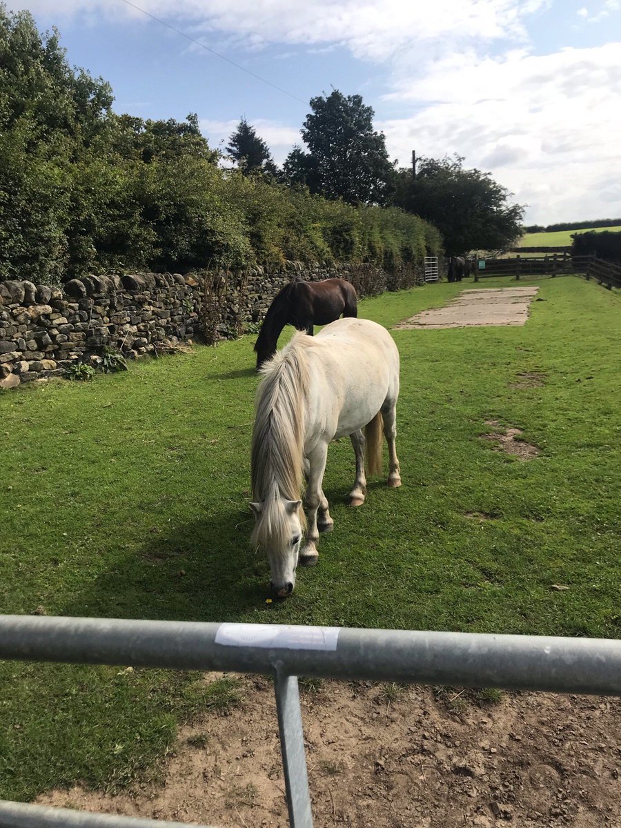 LTUPlacements tweet media