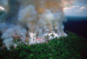 ArmyForClimate's tweet photo. Army the most important ecosystem on earth is burning, it is really important to raise awareness to spread this alarming situation to medias !! Speak up and tweet about it with those hashtags : #PrayforAmazonia #ARMYHelpThePlanet #ArmyForClimate #Amazonie https://t.co/dsLAxULjuC