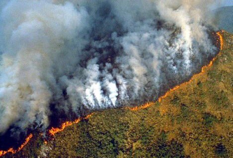 ArmyForClimate's tweet photo. Army the most important ecosystem on earth is burning, it is really important to raise awareness to spread this alarming situation to medias !! Speak up and tweet about it with those hashtags : #PrayforAmazonia #ARMYHelpThePlanet #ArmyForClimate #Amazonie https://t.co/dsLAxULjuC