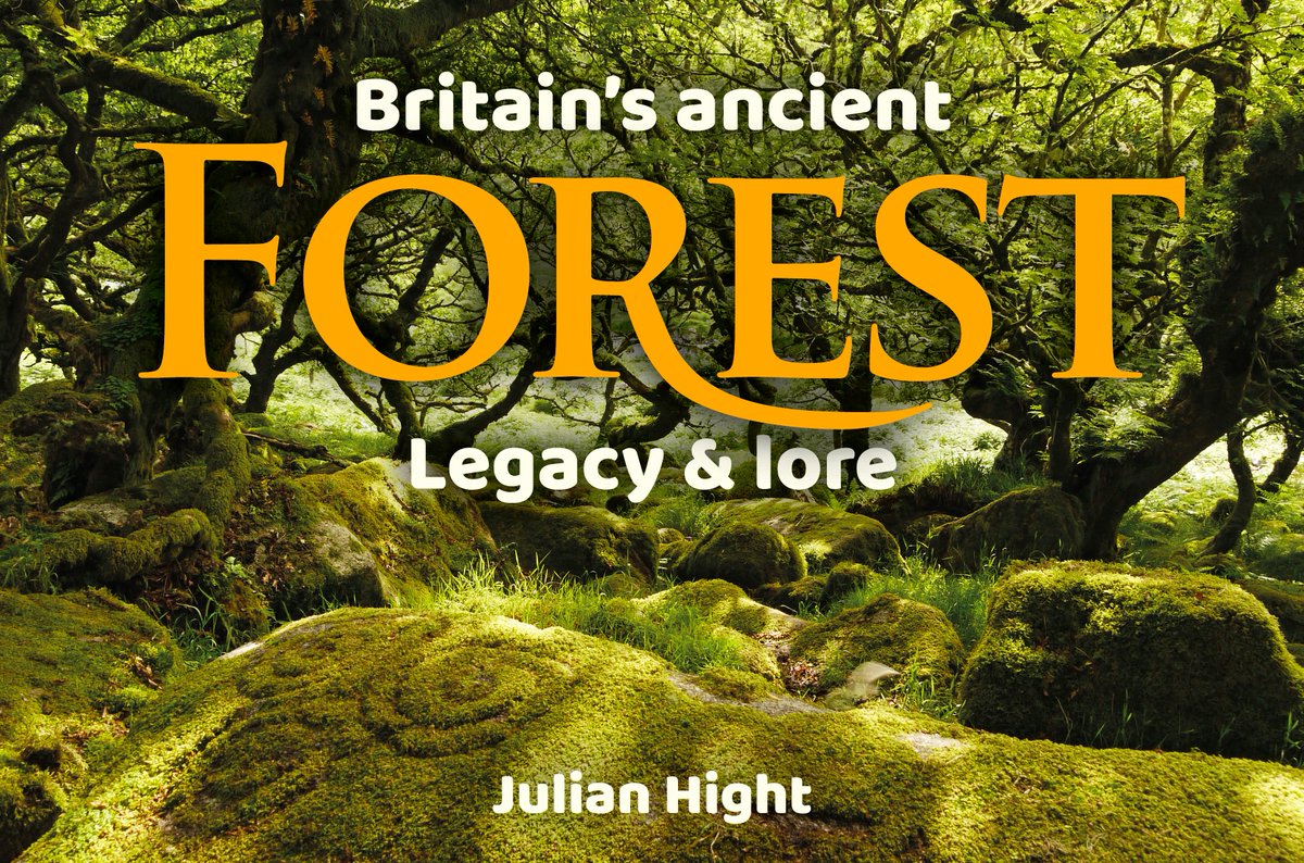 Entering the last week of Britain’s Ancient Forest - legacy and lore crowdfunder. If you’d like to be part of it, there’s still time to pledge or share, thanks! indiegogo.com/projects/brita… #trees #tree #forest #book #EnvironmentalConservation