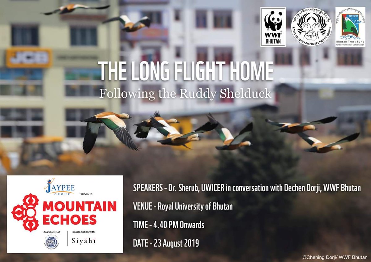 UWIFRT's tweet photo. Our researcher and Bhutan’s leading naturalist Dr.Sherub joins @WWFBhutan's head Dechen Dorji in a discussion about the Ruddy Shelduck - a migratory bird and Bhutan’s winter visitor.
#ruddyshelduck #migratorybirds #10yearsofmountainechoes https://t.co/Qir455TuLE
