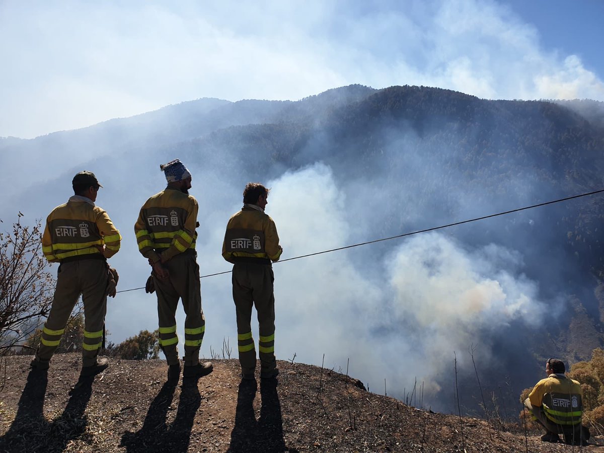 territoriocan's tweet photo. #EIRIF 
Se acercan las mejores noticias respecto al terrible #IFGranCanaria y con ellas el inmenso agradecimiento a cada una de las personas que lo han conseguido. 

📸 Entre cada una de ellas, nuestros #EIRIF #Canarias 👏🏽💪🏽 https://t.co/U1jbH3xrly