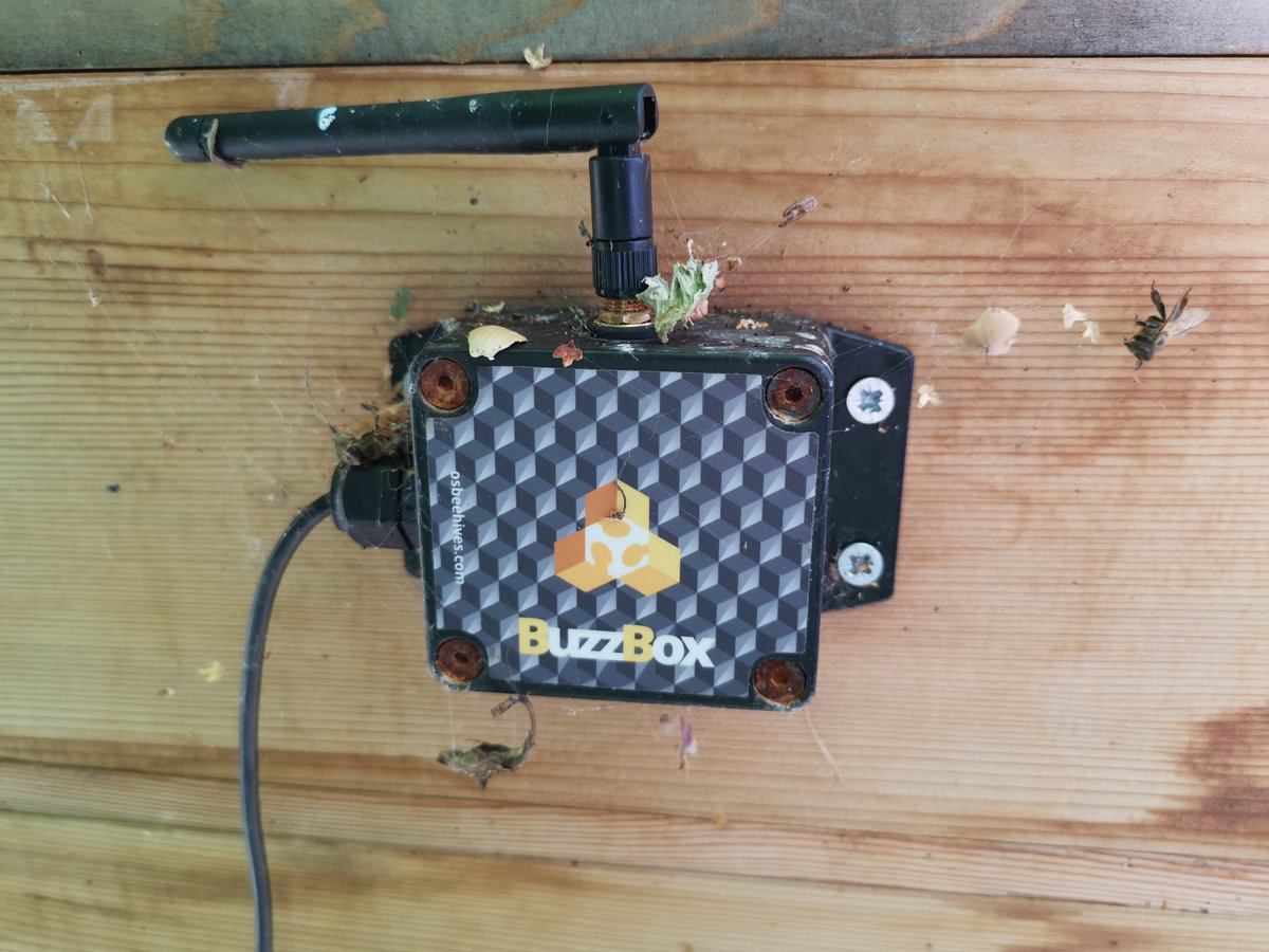 ebook investigating cyber law and cyber ethics issues impacts and practices 2011