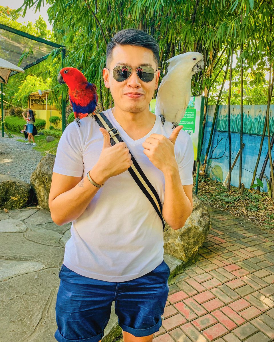 patrickalfredb's tweet image. The birds said: “Hang on, we’re close to the weekend.” Lol! 🐦😹😎 #pAT34 #whenindavao #davaocity #humpday