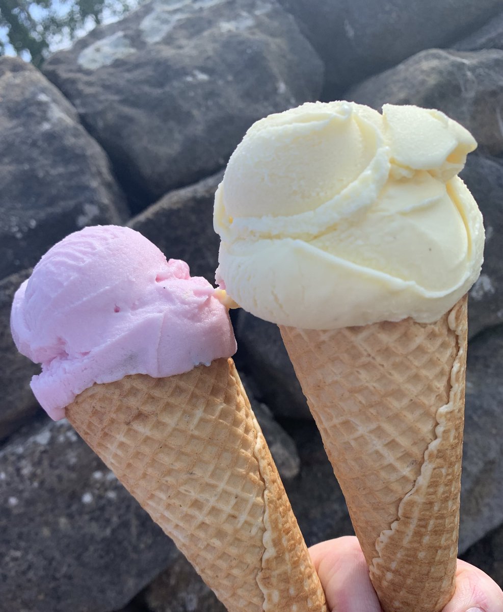 gandtsicecream's tweet image. 🍭 Candy Floss flavour or the classic Vanilla? Which would you choose?! 🍦
#alwayshomemade #icecreamparlour #icecream #flavours #vanilla #candyfloss #perfectpitstop #wednesdaymotivation #midweekmotivation #family #localbusiness #ripon #northyorkshire #gandts