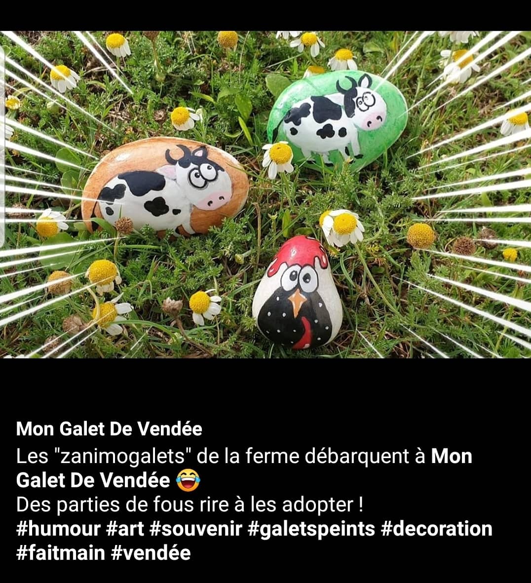 Adoptez les pour ne pas perdre votre sourire à la rentrée 😂
#magnetic #galetspeints #Smile #pebblepainting #art #DIY