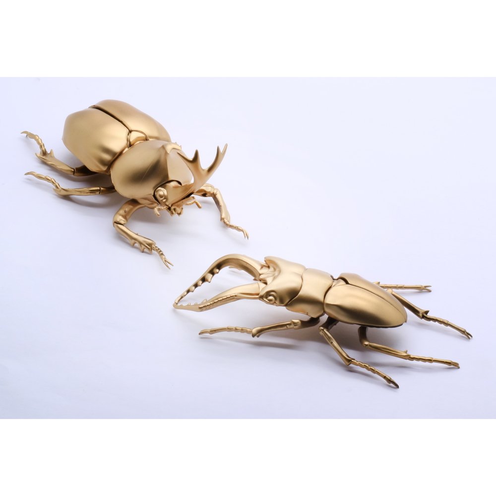 Hobby Shop でじたみん على تويتر カブトムシvsクワガタ 昆虫の黄金対決を 文字通りゴールドの成型色 ちび丸キングギドラのような色 で彩ったスペジャルアイテム フジミ模型 自由研究シリーズ Ex 1 いきもの編 クワガタムシvsカブトムシ 対決セット 特別