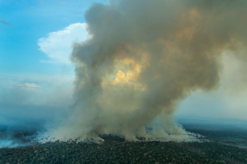 jeanphi_'s tweet photo. Amazon is burning !!!! What the fuck @JeffBezos is doing ?? https://t.co/S9IQCkiQDG