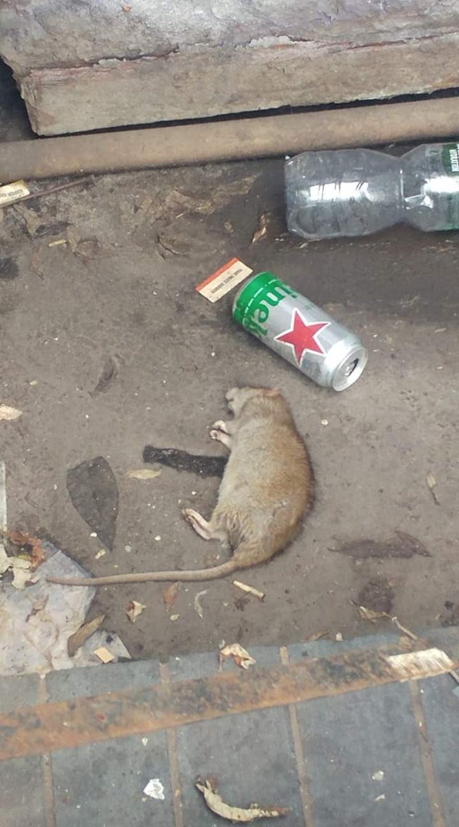 We’re playing a gig. 

With <a href="/moderndaydukes/">Modern Day Dukes</a> (their album launch) on September 7th at Retro in Harrogate.

Get fuzzy.