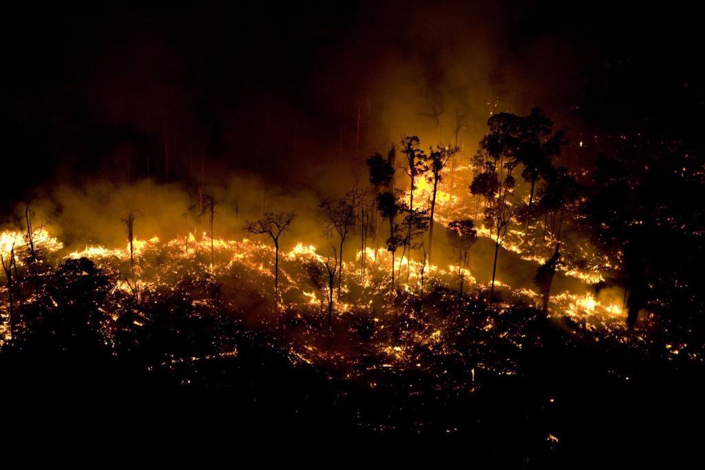 SirenesFR's tweet image. 🇧🇷 CATASTROPHE : La forêt amazonienne brûle depuis 16 jours. Silence médiatique. Cette forêt produit 20 % de l'oxygène et compte plus de 40.000 plantes différentes. Le feu est incontrôlable. Sao Paulo a même été plongée dans les ténèbres lundi à cause des fumées. #PrayforAmazonas