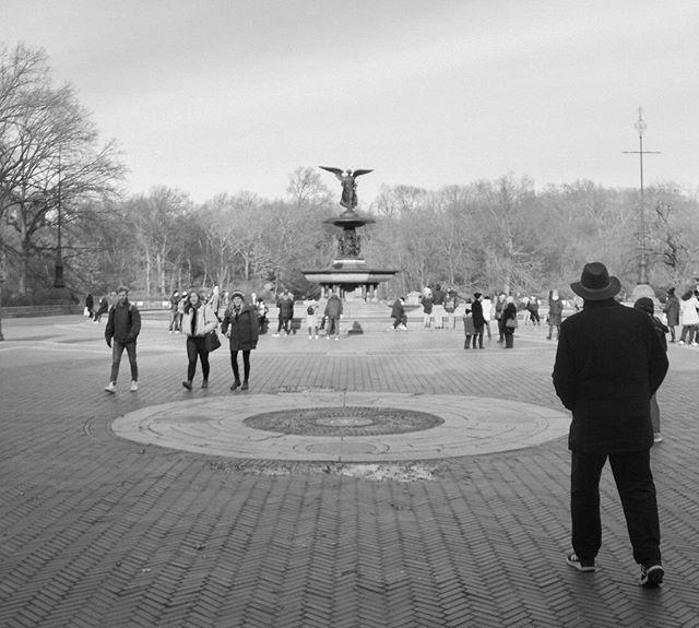 zacharneymedia's tweet photo. #nyc #bethesdafountain #bethesda #newyork #centralpark #nyphotography #people #blackandwhite #bw #monochrome #monochromephotography #city #cityviews #winter #nywinter || Like this at: https://t.co/Z1lq4GY5L7 https://t.co/7B2k6cDGyE