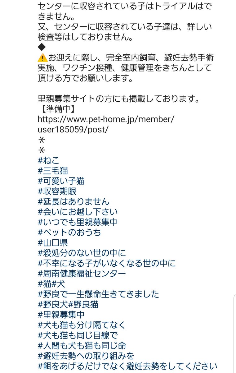 動画を見てください

こんな小さい子が心臓バクバクさせてブルブル震えています

どんな酷い捕獲の仕方をしたらこんなになるんでしょうか...

里親様急募です

柄が個性的で可愛い子
典型的な美人顔な子です

センターに直接行くのが難しい方は
インスタ tosi104hiro さんまで

お願い致します