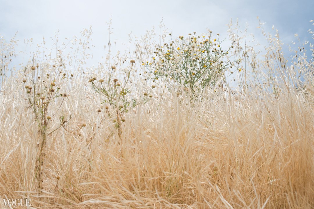 MWSimages's tweet photo. Pictures from Sicily / Vogue Italia 
#nature #vogue #vogueitalia #sicily #photographer #mwsimages https://t.co/d0s12qsIVF