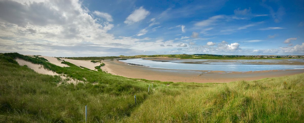 Great day learning about the shifting sands at Forvie NNR #interpretation <a href="/nature_scot/">Former NatureScot account</a>