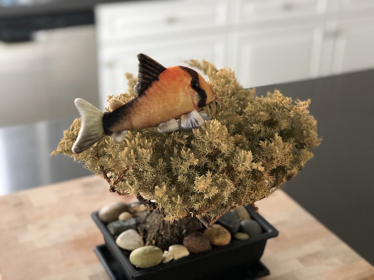 greenplecoplush's tweet photo. #PETSMART #PETCO #PETVALU #PETSUPPLIESPLUS #GLOBALPETFOODS #PETSUPERMARKET #PETSENSE #PETLAND #PETLANDDISCOUNTS #UNLEASHEDBYPETCO
#WOOFGANGBAKERY #PETCLUB #MONDOU #PETFOODEXPRESS #PETPLANET #BOSLEYSBYPETVALU #HOLLYWOODFEED #PETDEPOT #MUDBAY
#KRISERS #CONCORDPET #PETPEOPLE https://t.co/Liu7WEdYns