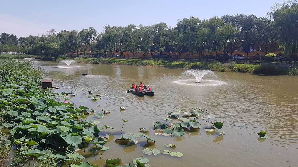 msagostino's tweet image. After an inspiring presentation about the revival of Duck Lake, grade 9 scientists begin their fieldwork! #mypscience #MyWAB