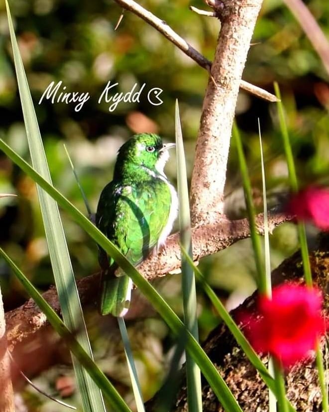 HotBoxKitten1's tweet photo. Week away in the Midlands with a brick of weed and beautiful birdlife..... #photography #420 #birds #highlife https://t.co/BnmbeSfWoU