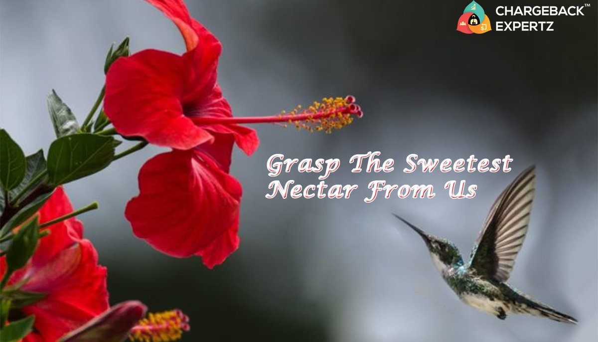 CBZexpertz's tweet photo. Grasp The Sweetest Nectar From Us
Chargeback Expertz serves the best management for chargebacks. Click Here: https://t.co/IVWCY0fYNW
#chargebackexpertz #chargebackmanagement #chargebackprevention #chargebackprocess #stopchargeback #chargebackfights #chargebackbattle https://t.co/uWUXCXKBlv