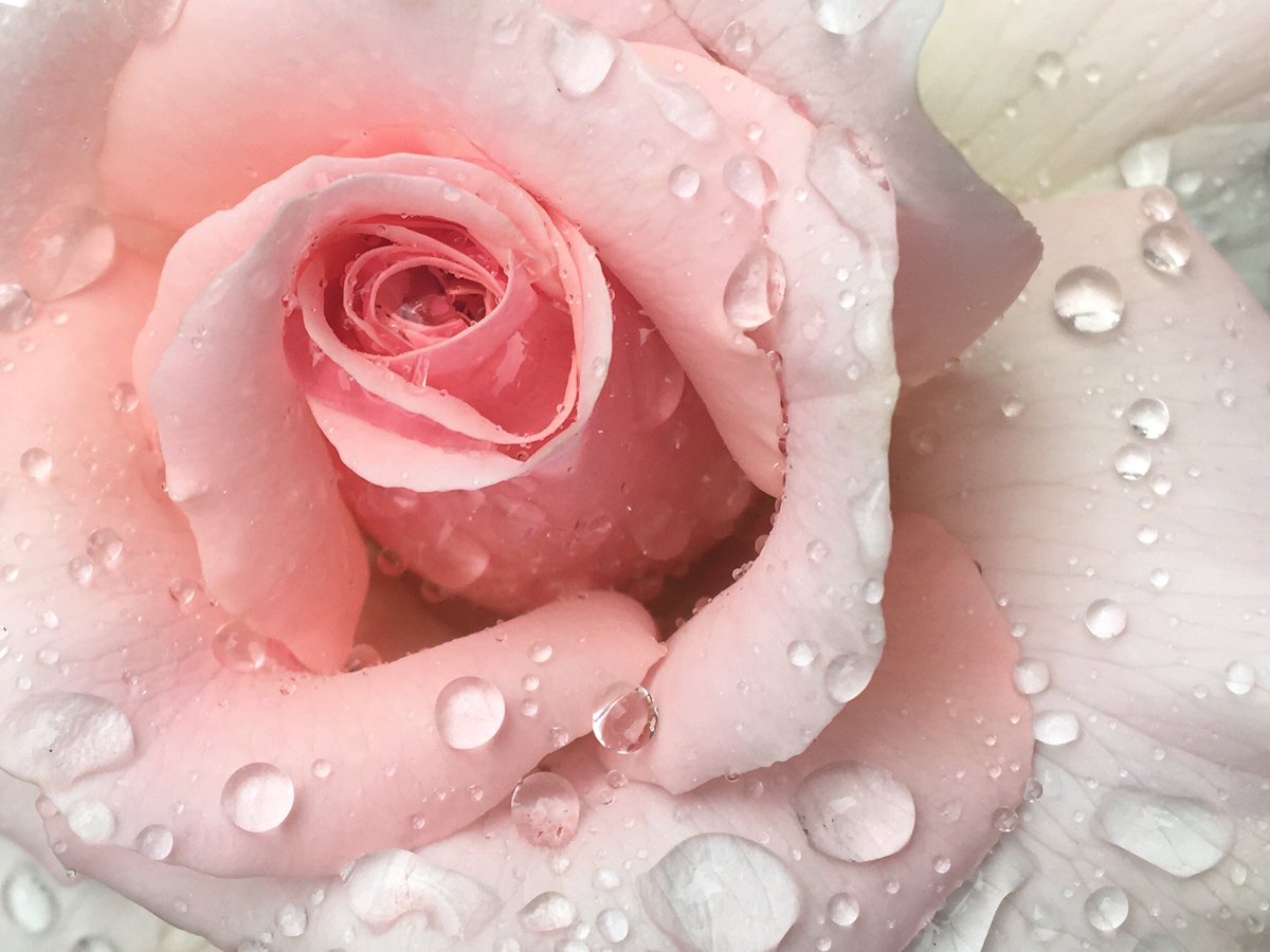 Such a busy time of year thinking of others and their needs... Do you need some #space to do so for #you #preparing #psychotherapy #counselling - 30yrs as a #therapist Spaces available on line from September.  Make that #change #Achieve your dreams dianeyoudale.co.uk