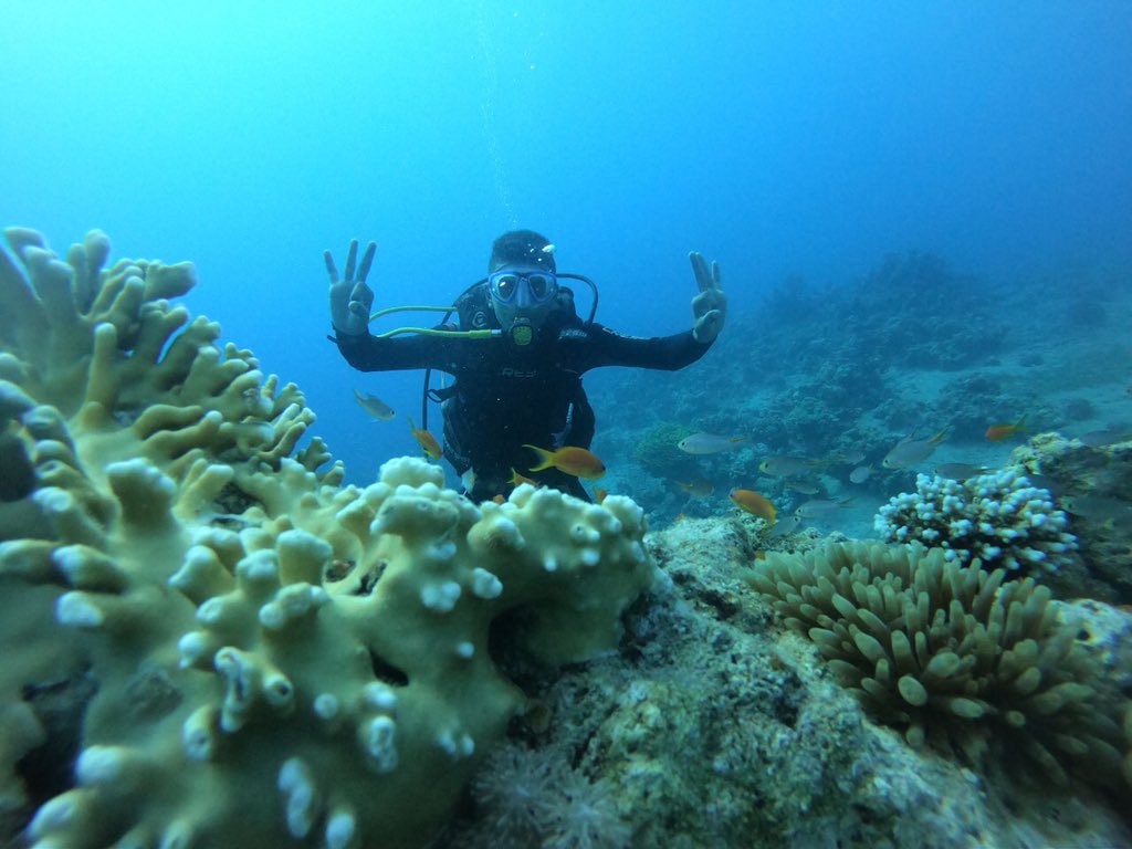 JordanFrogman1's tweet photo. Omar Mahadeen sends you peace from the bottom of the Red Sea - Aqaba 

And invites you to dive in AirPlane C-130 

#Diving #Dive #ScubaDiving #Scuba #RedSea #PADI #MrFrogman #Jordan #Jo #Airplane #plane #Airplane_C130 #Aqaba #Beach #Aqababeach #PicsArt #DivePlus https://t.co/JvawR63lG2