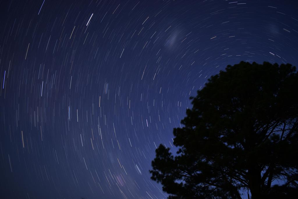 KpHaciserif's tweet photo. 20 minute star trails [OC] via /r/spaceporn https://t.co/FDxOrGoH0E https://t.co/Gk6uiEVzyC