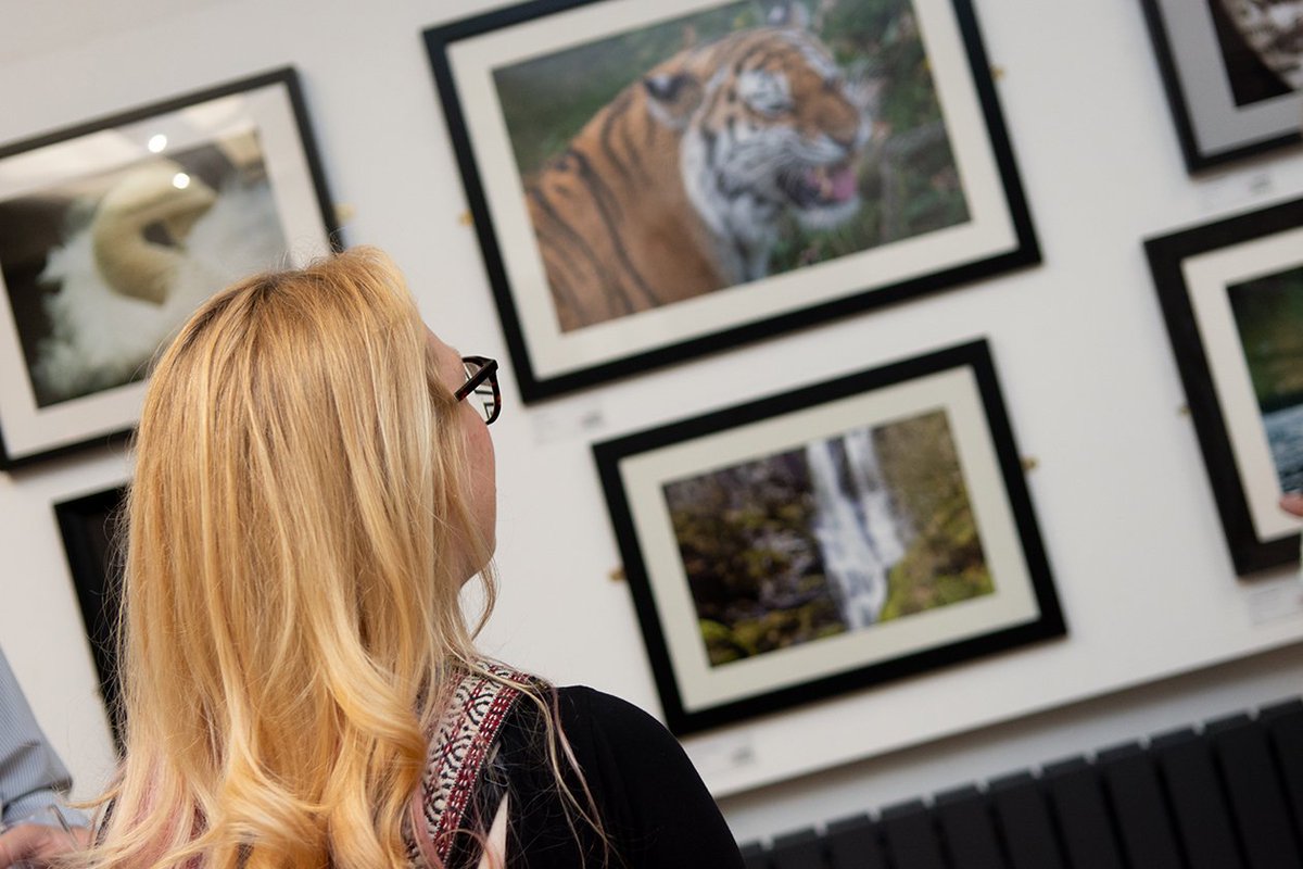CentreSpaceArts's tweet photo. There's still time to get down to @CentreSpaceArts inside the @POTBANK_Cafe and see the expectional exhibition from The Sentinel's Snapper Squad (@Sotlive).
.
.
Images by @_SEPhotos_
#photography #exhibition #artgallery #potbank #snappersquad #photos #gallery #centrespace https://t.co/zPhTqOA4me