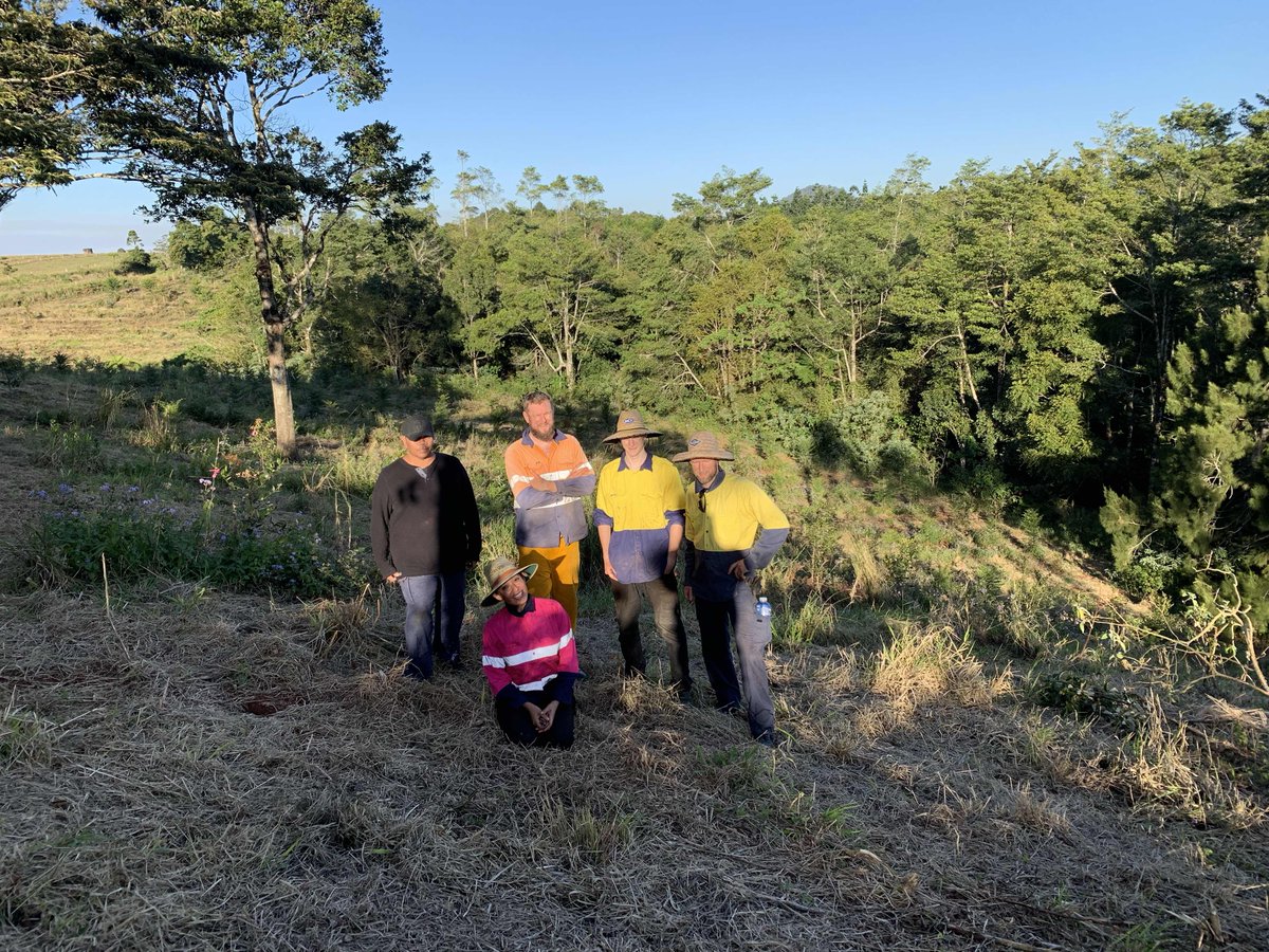 DarylKillin's tweet photo. Our Motley Crew of family & friends saving on gym membership by infill planting #nativeconifers today. Tree planting is good for the soul they say, coz the body sure hurts! https://t.co/MUG5ybHXqH