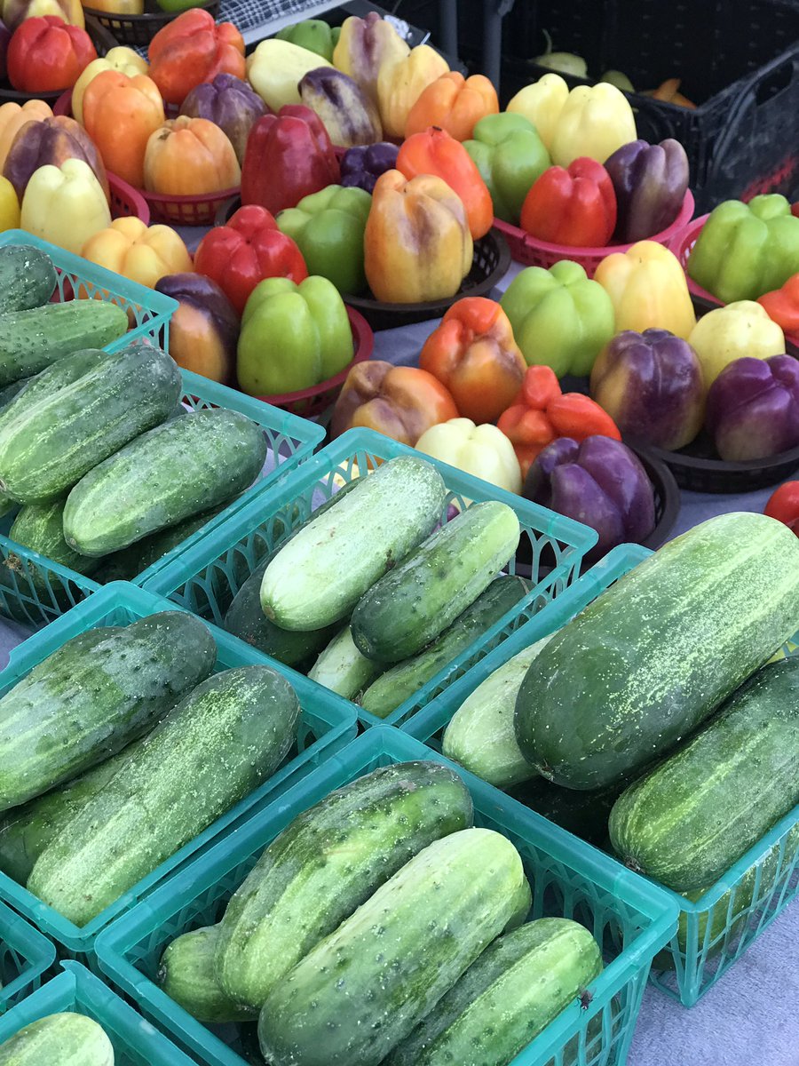 Penni Shelton tweet media