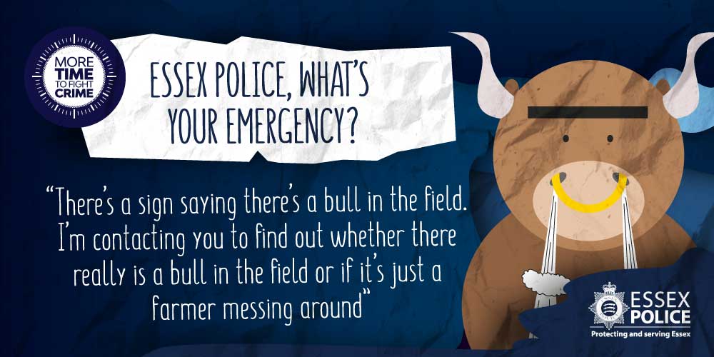 EssexPoliceUK's tweet photo. Calling us to ask whether there is a bull in a field is not an appropriate use of 999.
Please give us #MoreTimeToFightCrime and only call 999 when there is a genuine emergency. https://t.co/ffHtFjtZtU