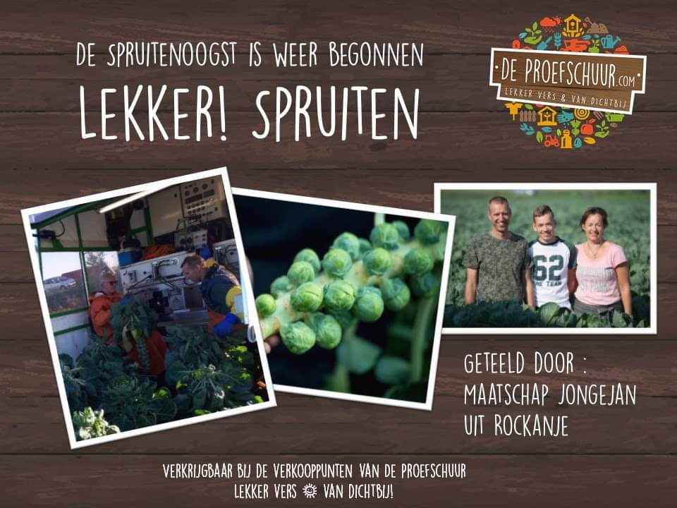 Kommer Jongejan is gestart met de spruiten oogst 🎉🎉   Vanaf nu verkrijgbaar via <a href="/DeProefschuur/">De Proefschuur</a> #lekkervers #vandichtbij #gezond #Tinte