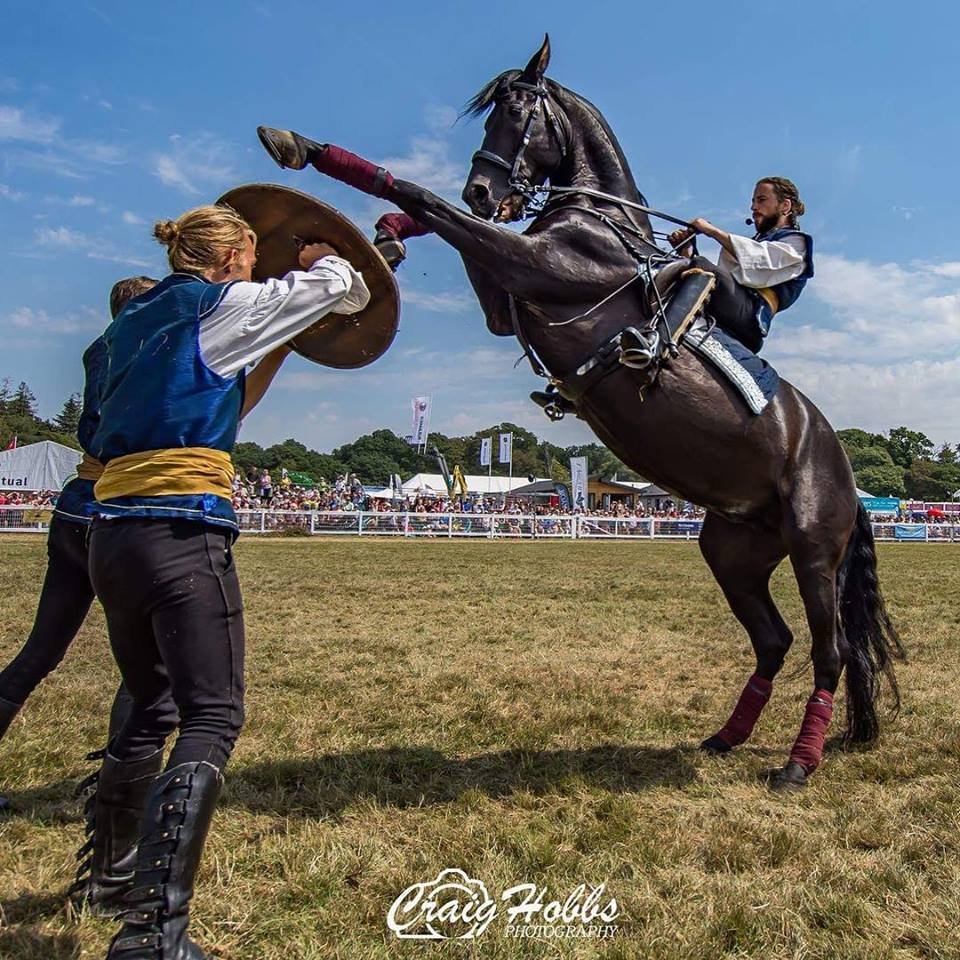 Stokesley Show tweet media