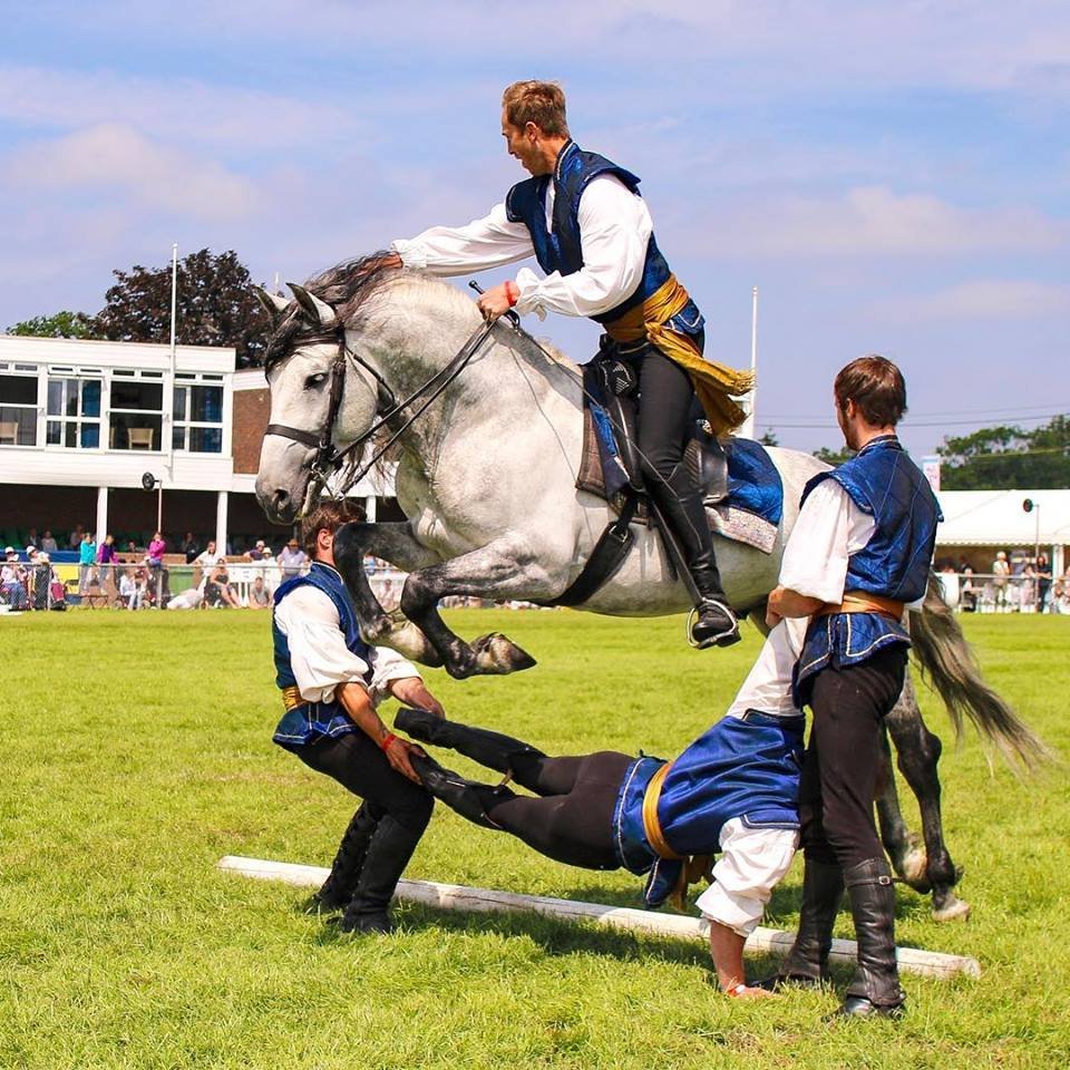 Stokesley Show tweet media