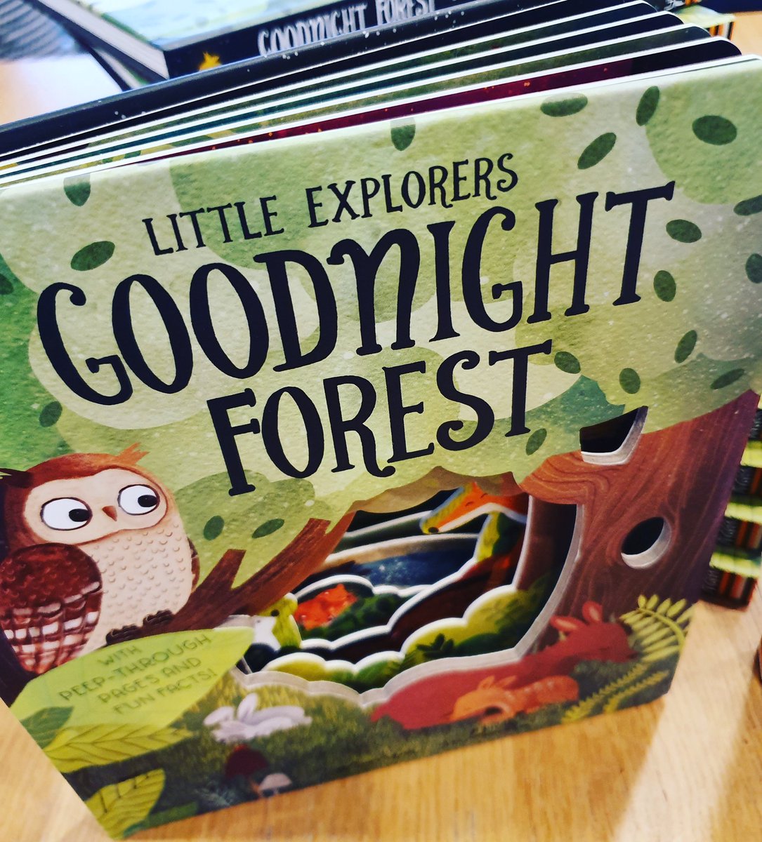 LittleTigerUK's tweet photo. BRAND NEW BABY NON-FICTION FRESH OUT OF THE BOX! Check out these cut-throughs! #CarmenSaldaña magic. Published 03/10. Review copies out soon... RT with #GoodnightForest or #GoodnightOcean to tell us your favourite! https://t.co/w0a0DEmsOh