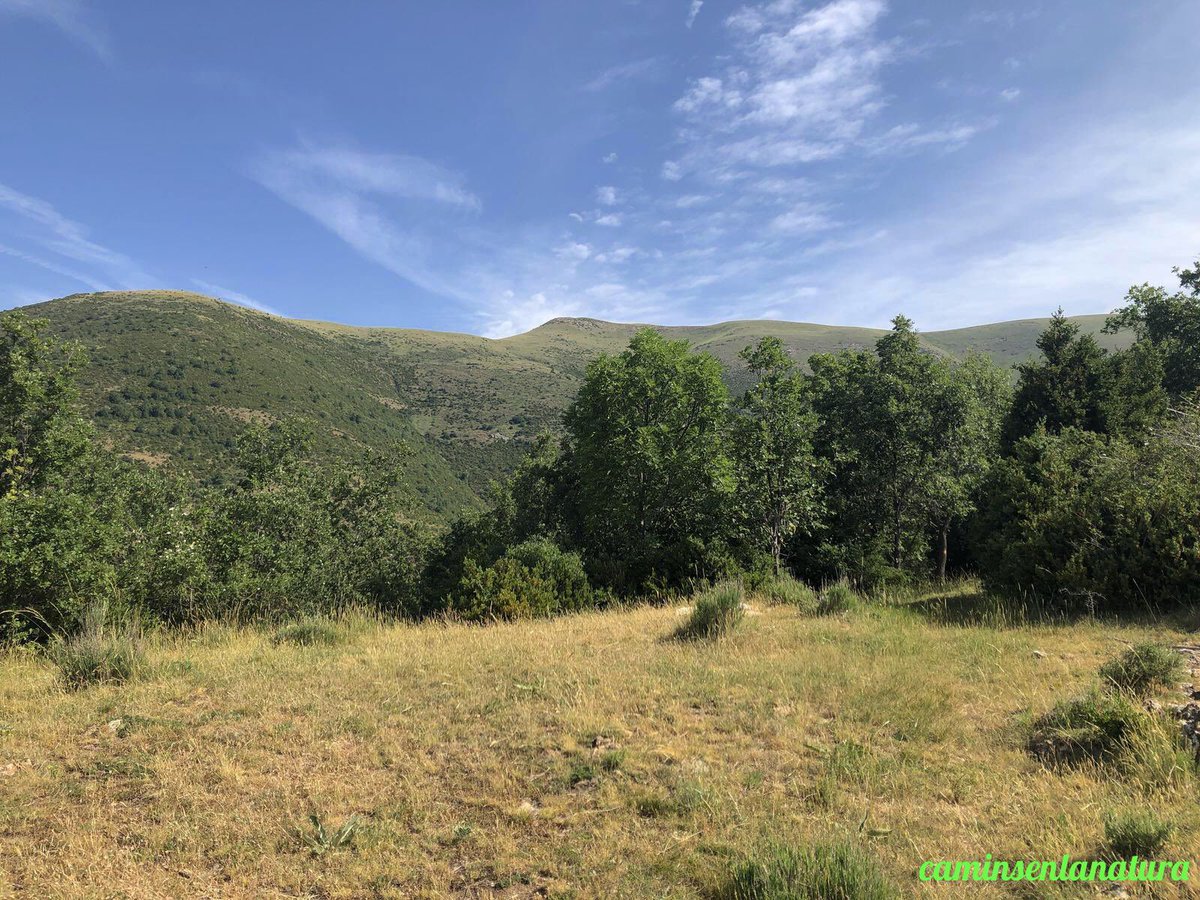 caminsnatura's tweet photo. Cim del puio d’#Esperan, a l’#AltaRibagorça. Al fons, el tossal de la Tartera i la calbera d'#Irgo. https://t.co/XlsOA1YBvz