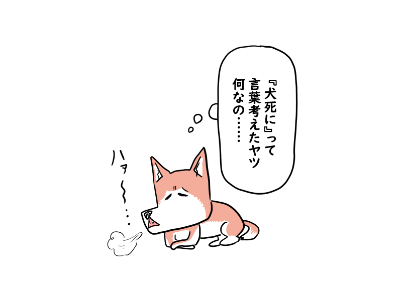 イラついてる犬 