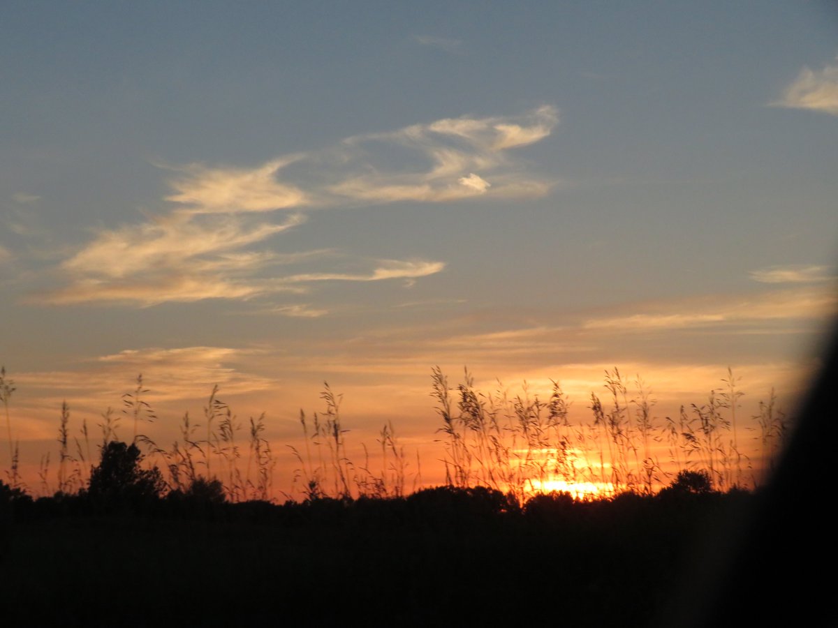 PLKlein_Author's tweet photo. "Ah Summer, what power you have to make us suffer and like it." ~ #RussellBaker #ThinkingOutLoud #QuickQuotes #WednesdayWisdom #WednesdayThoughts #Summer #Suffer #LikeIt https://t.co/Q78SWfjson