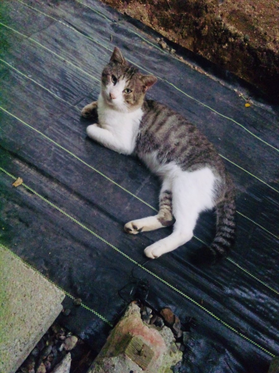 日曜駅にて (@nichiyou_eki) on Twitter photo 