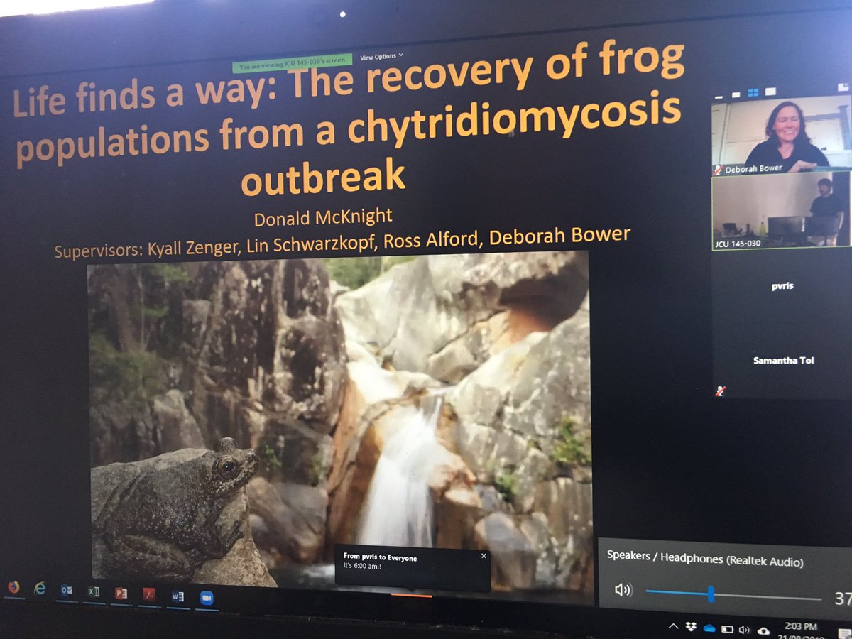 deborah bower 🐢 🌈 🐸 tweet media