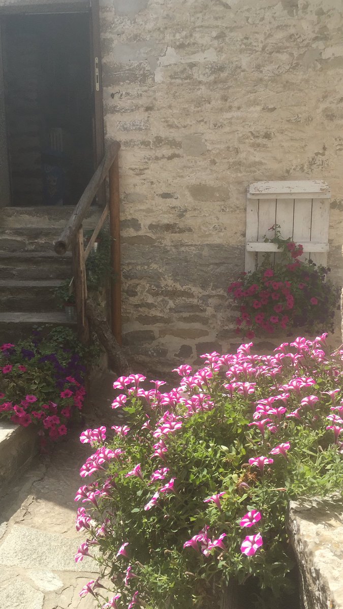 PediniSilvia's tweet photo. Natura .... pace ... silenzio..
.
.
#natuta #relax #Italia #Italy #igers #photography #Amazing #wild #montagna #fiume #river #Summer2019 #peace #mountainbike #mountainbiking https://t.co/T6vqBUSqeL