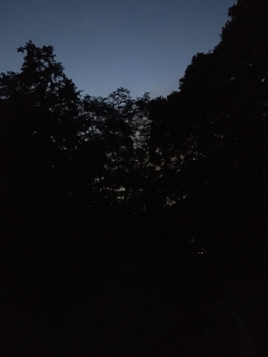 夜の山
