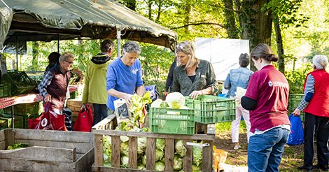 FarmCafe_BE's tweet photo. Inspiratie bij de noorderburen!!
https://t.co/wqozj2H4Hq https://t.co/IIqR2q5EBK