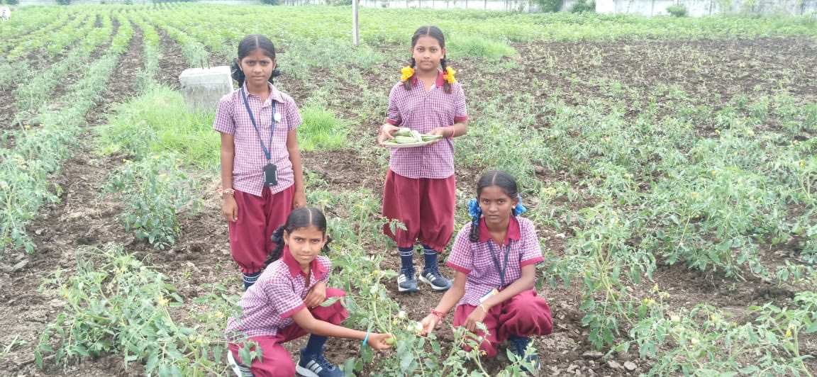 RSPraveenSwaero's tweet photo. Developing Organic Kitchen Gardens is a non-negotiable aspect in our residential schools in Telangana. Who knows one of them might become next Norman Borlaug to feed the hungry in the world, but without pesticides and other carcinogens! https://t.co/udUSdEbKwG