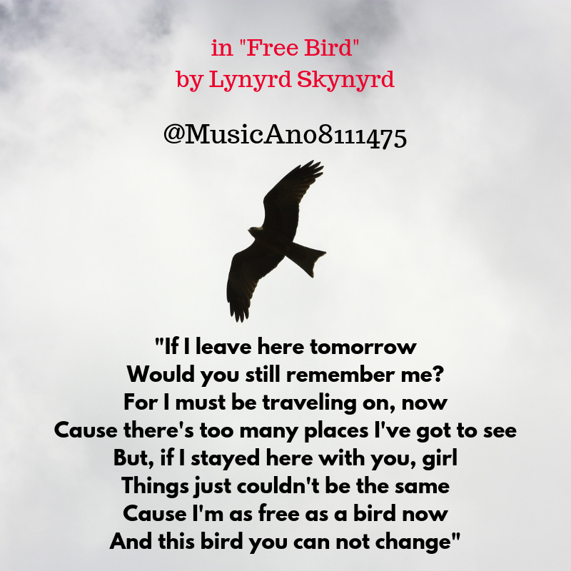 MusicAn08111475's tweet photo. Free Bird

#Music #Lyrics 

▶️ https://t.co/S4JkJteno5 https://t.co/Zs5tk1g94M