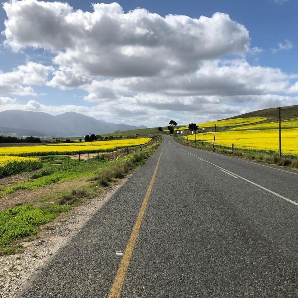 Cape Cycle Routes tweet media