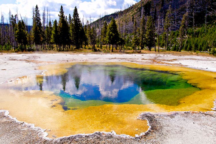 revistamasviaje's tweet photo. 8 rutas y paradas Patrimonio Mundial de Estados Unidos. 
@VisitTheUSA @InterfaceSpain
#arizona #EE.UU #EstadosUnidos #EstatuadelaLibertad #Hawaii #Lousiana #misiones #washington #ParqueNacionaldelosVolcanes #ParqueNacionalOlympic #sanantonio #texas https://t.co/E7nI0MwXtj https://t.co/0SrQDQyEYk
