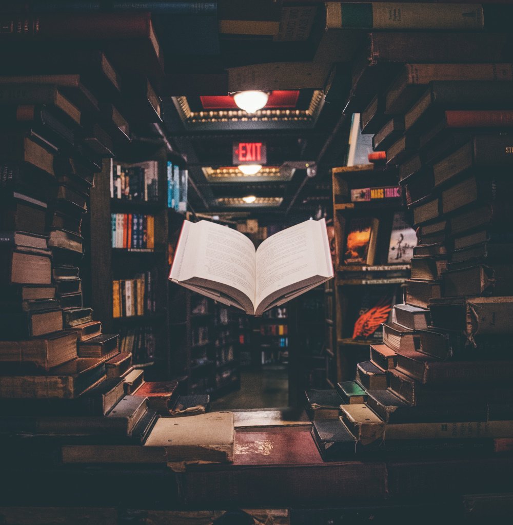 Have you ever Googled Leadership Books? The variety is daunting, what book would you make Google show?ow.ly/xKk850vCCxY #LeadershipBooks #Leadership #MandalaLeaders