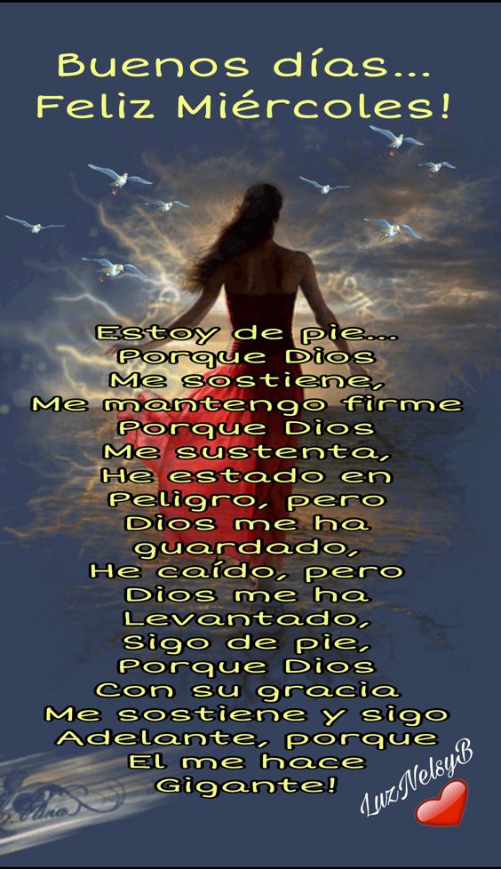 ☄🌺Fatigoncalvez lusolana☄🌺 (@fatigoncalvez) on Twitter photo 