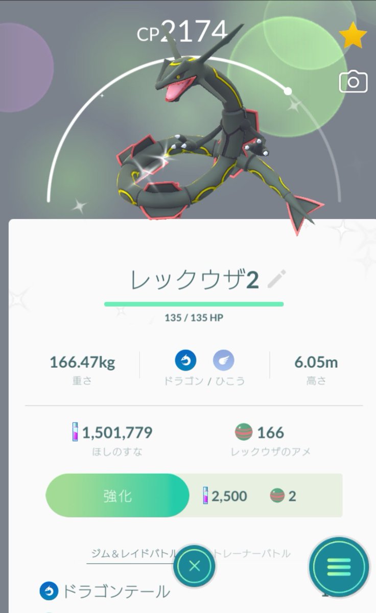 nlko2525's tweet photo. お疲れ様です😊
先日はスイクンお疲れ様でした🙇
レイクタウンで20戦15捕2色でした
１時間色チ出ず焦りました💦
2㎞卵は初スボミーだけ…

念願の黒レックウザ夫と同日に捕れて嬉しかった
群馬の親戚の所へジム置きしたら帰って来ない〜😆
近所の実家が🐈里親になり可愛くて通い中です😻ミミちゃんです https://t.co/oDzgbsdcap