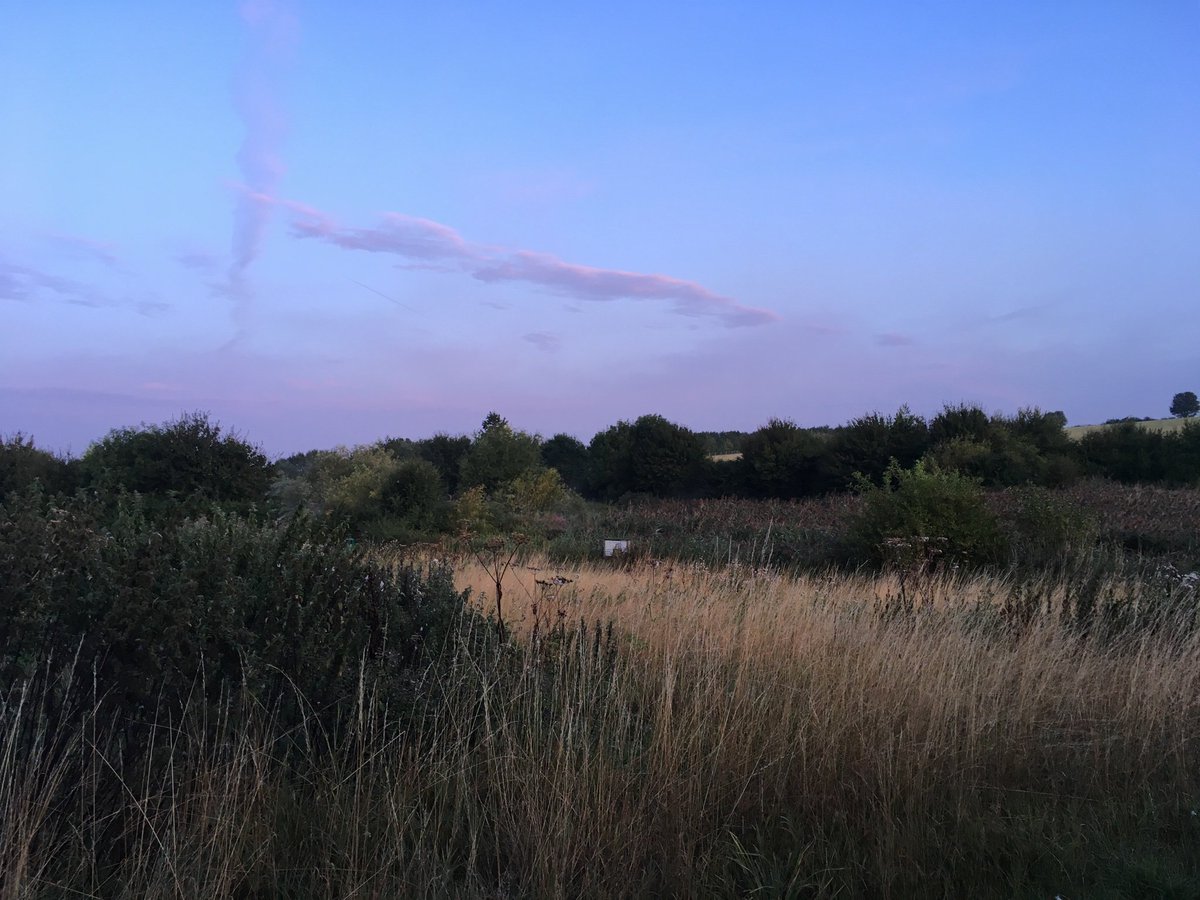 NicolaEcol's tweet photo. Some rewards for getting up for a @HantsIWWildlife white clawed crayfish survey @UC_Sparsholt @Sparsholt_Coll #nativespecies #arcsite #sustainablepopulations #EndangeredSpecies https://t.co/gX5Z907xxy
